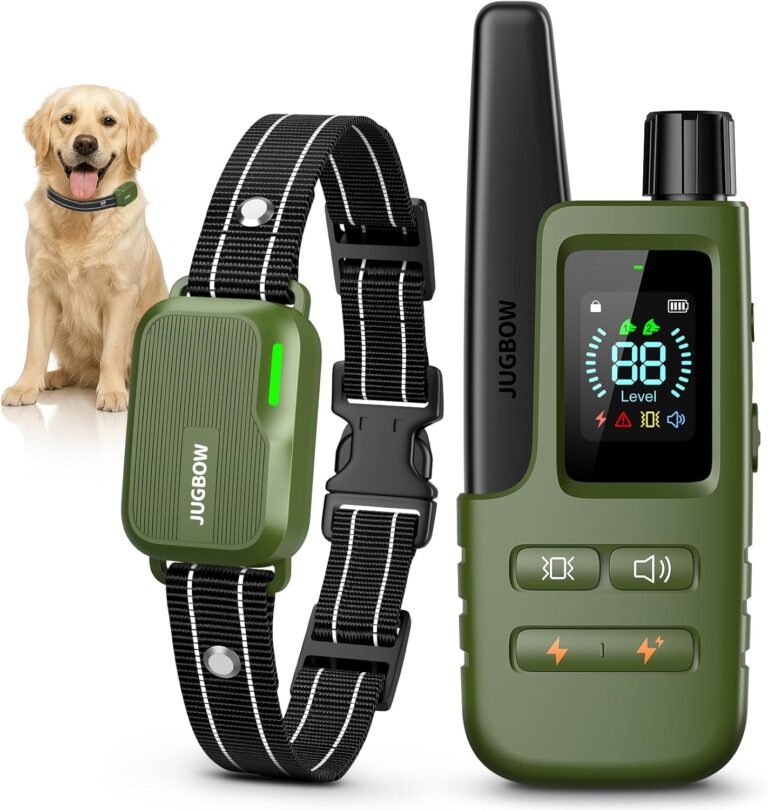 Dog Collar: 10 Ultimate Steps For Best Training Results In 2026 10 71 TRTqhXcL. AC SL1500 Take Care Of Your House