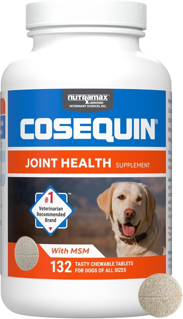 Dog Glucosamine: 7 Ultimate Steps For Best Joint Health In 2026 16 71Ose24LM2L. AC SL1500 Take Care Of Your House
